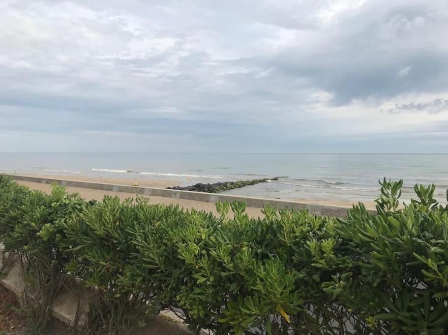 Vue Exceptionnelle En Front De Mer, 8 Personnes Ver-sur-Mer Bagian luar foto